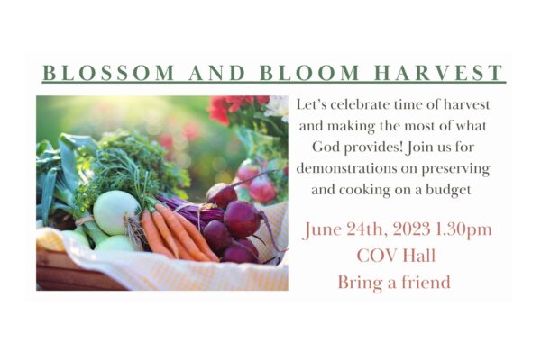 blossom-bloom-harvest